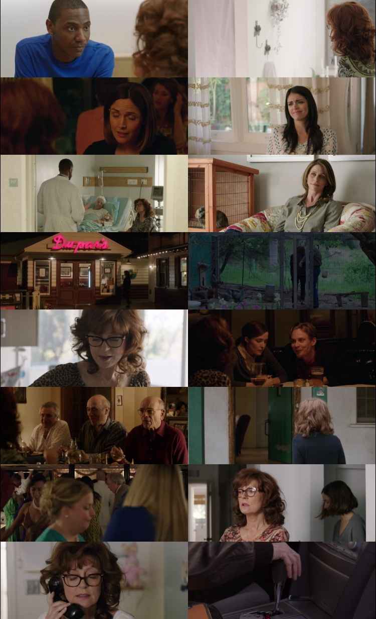The Meddler 2015 Hindi ORG Dual Audio Movie DD2.0 1080p 720p 480p BluRay ESubs x264 HEVC The Meddler 2015 Hindi ORG Dual Audio Movie DD2.0 1080p 720p 480p BluRay ESubs x264 HEVC