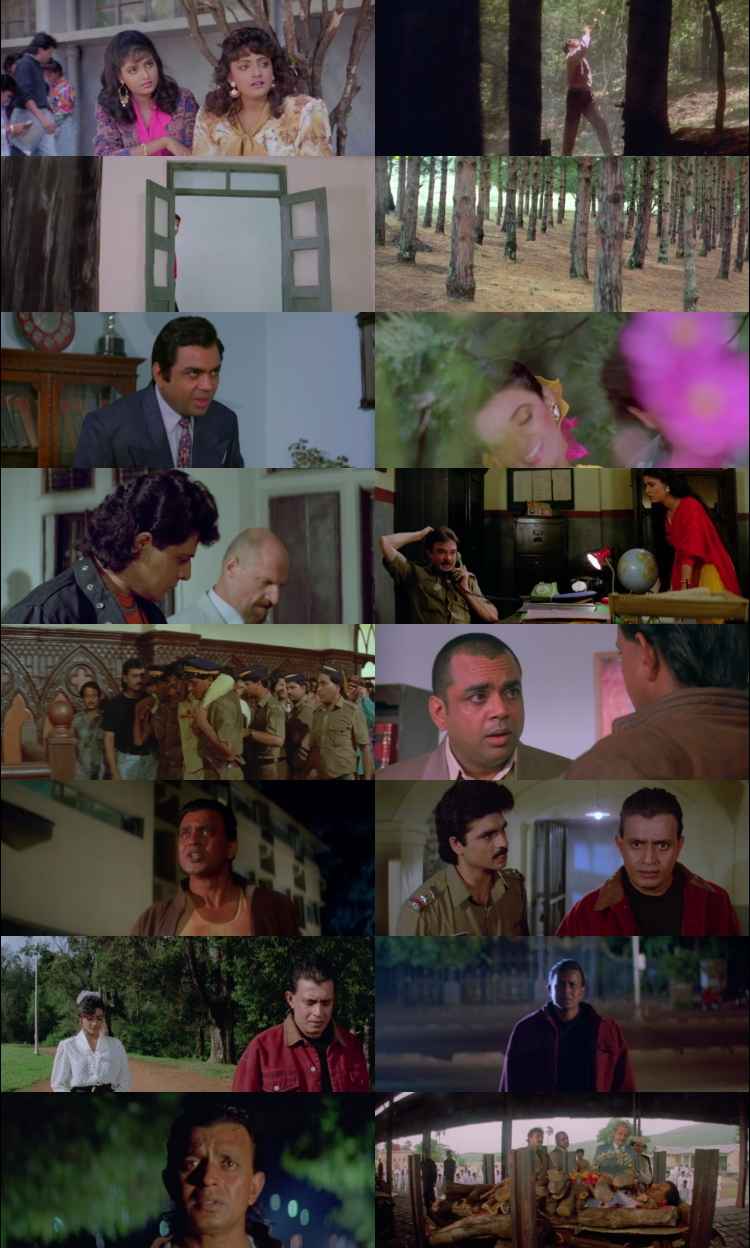 Phool Aur Angaar 1993 Hindi Movie DD2.0 1080p 720p 480p HDRip ESubs x264 Phool Aur Angaar 1993 Hindi Movie DD2.0 1080p 720p 480p HDRip ESubs x264