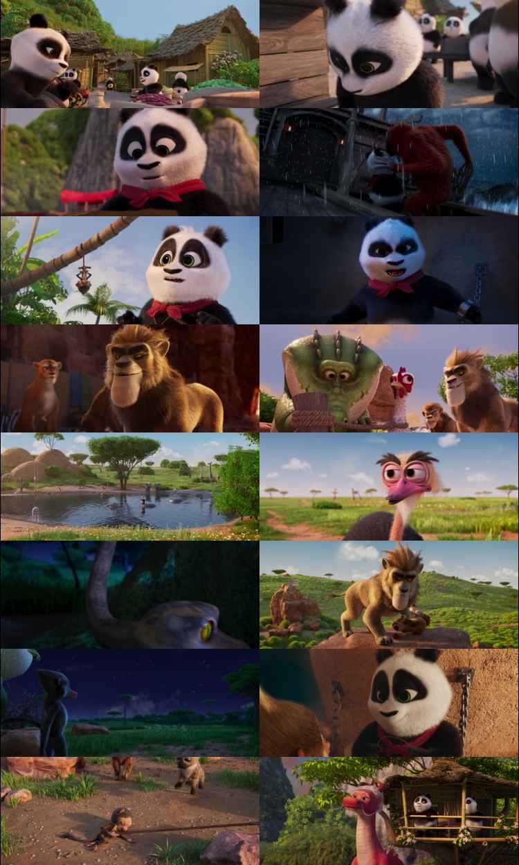 Panda Bear in Africa 2024 Hindi ORG Dual Audio Movie DD5.1 4k 1080p 720p 480p Web-DL ESubs x264 HEVC