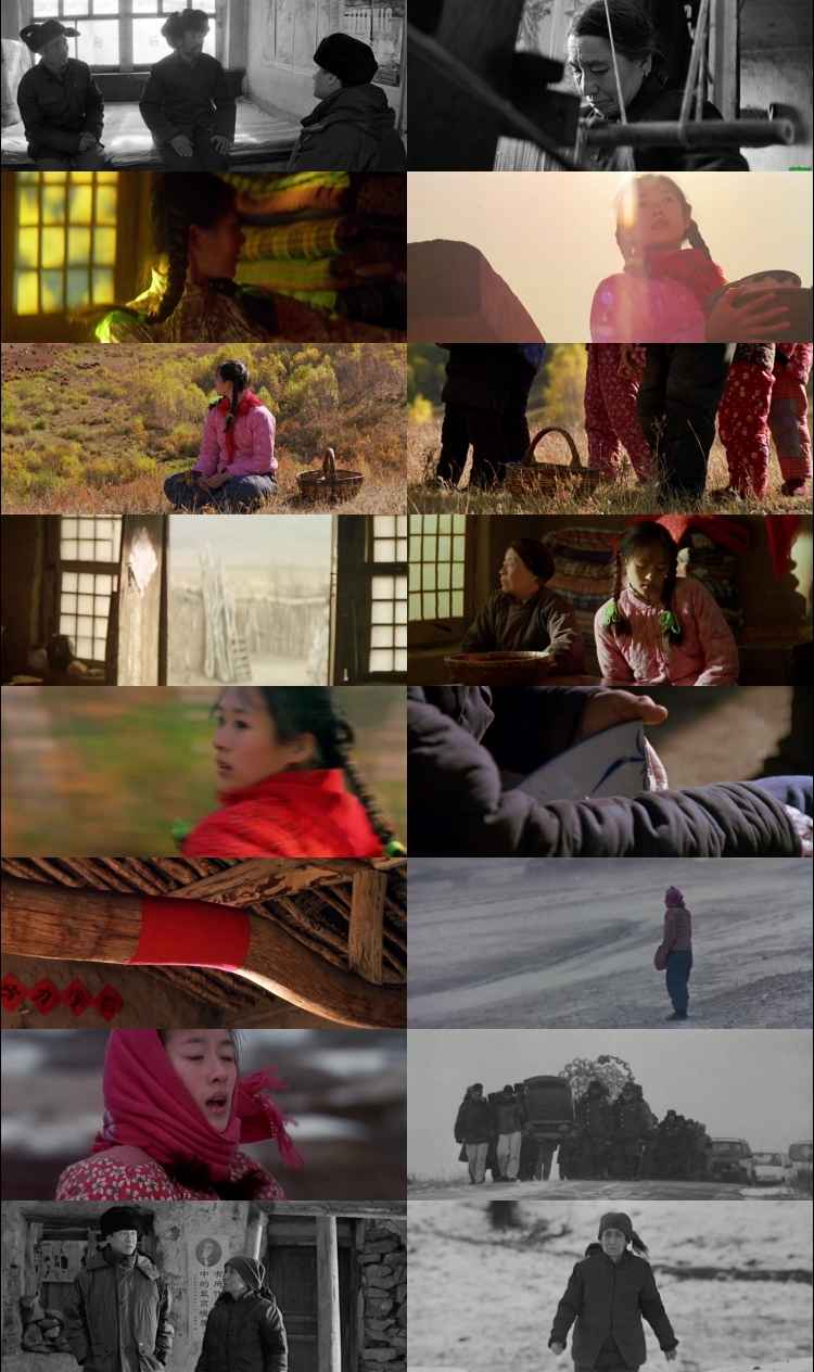 The Road Home 1999 Hindi ORG Dual Audio Movie DD5.1 1080p 720p 480p BluRay ESubs x264 HEVC
