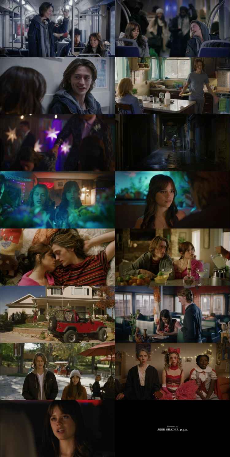 Winter Spring Summer or Fall 2024 Hindi ORG Dual Audio Movie DD2.0 4k 1080p 720p 480p UNCUT HDRip ESubs x264 HEVC