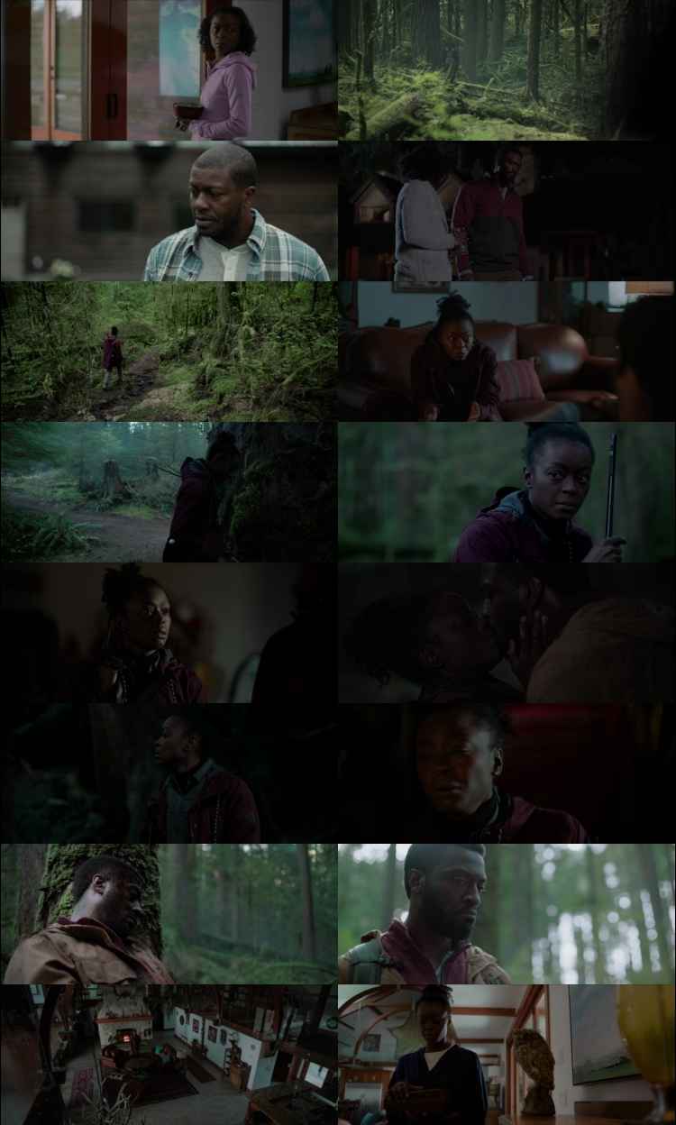 Parallel 2024 Hindi ORG Dual Audio Movie DD5.1 4k 1080p 720p 480p BluRay x264 ESubs HEVC