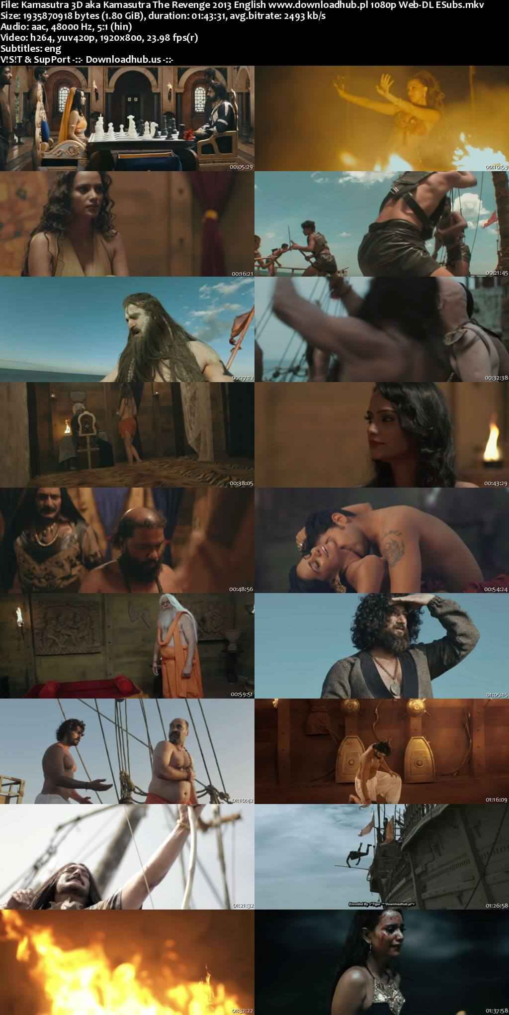 Kamasutra 3D aka Kamasutra The Revenge 2013 English DD5.1 Movie 1080p 720p 480p Web-DL ESubs HEVC
