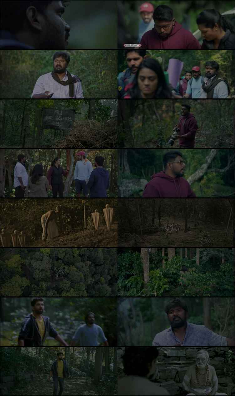 Pechi 2024 Hindi ORG Dual Audio Movie DD2.0 1080p 720p 480p UNCUT HDRip ESubs x264 HEVC Pechi 2024 Hindi ORG Dual Audio Movie DD2.0 1080p 720p 480p UNCUT HDRip ESubs x264 HEVC