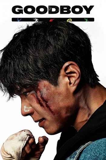 GOOD BOY 2025 S01 Complete Hindi Dual Audio 1080p 720p 480p Web-DL MSubs