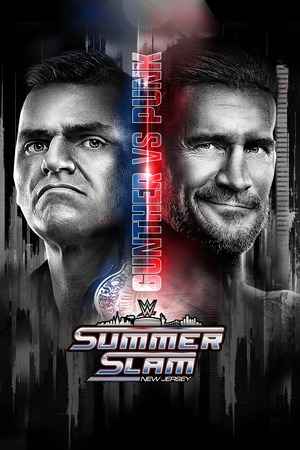 WWE SummerSlam Night 2 Sunday 2025 [Hindi DD2.0 – English] PPV 1080p 720p 480p WEBRip x264