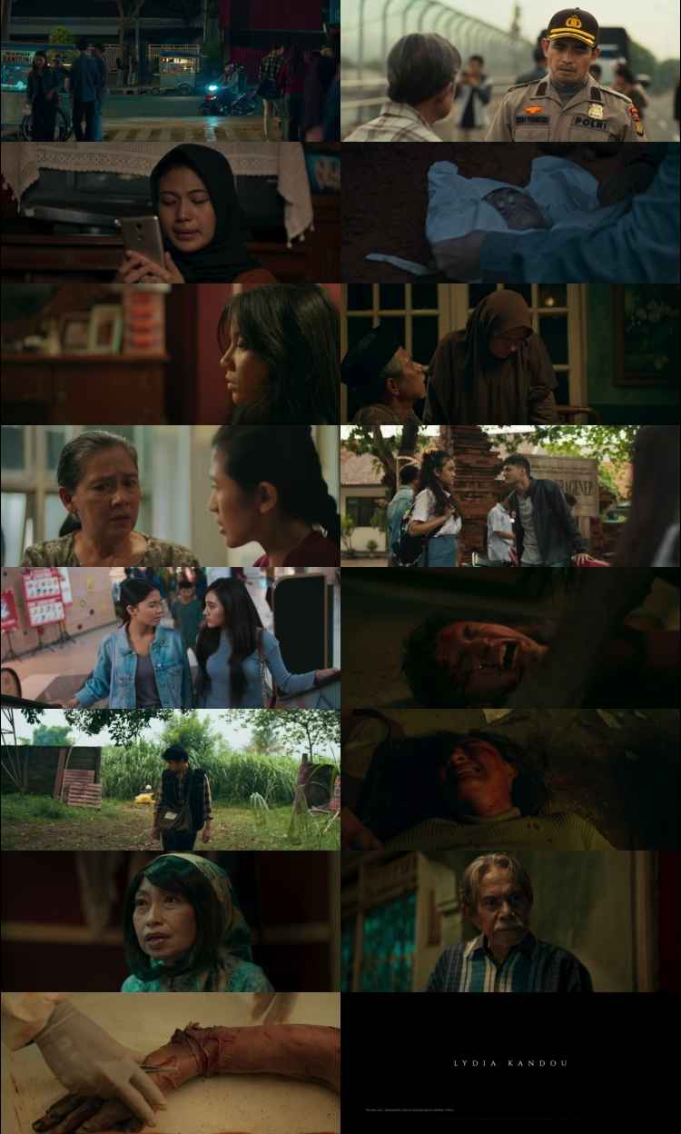 Vina Before 7 Days 2024 Hindi Movie DD2.0 1080p 720p 480p HDRip x264 HEVC