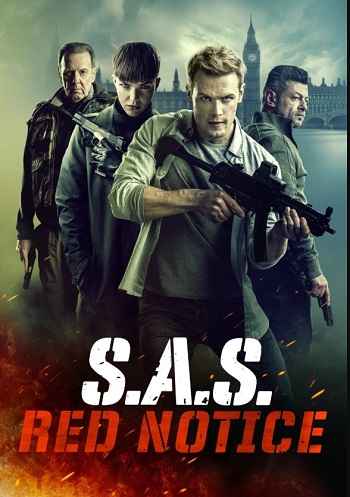 SAS Red Notice 2021 Hindi ORG Dual Audio 1080p 720p 480p BluRay ESubs