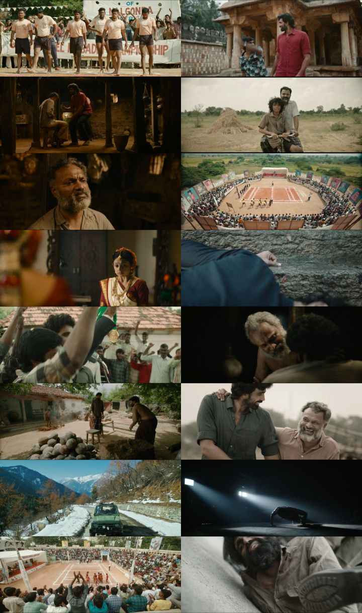 Arjun Chakravarthy Journey of an Unsung Champion 2025 Hindi ORG Dual Audio Movie DD5.1 1080p 720p 480p UNCUT HDRip ESubs x264 HEVC Arjun Chakravarthy Journey of an Unsung Champion 2025 Hindi ORG Dual Audio Movie DD5.1 4k 1080p 720p 480p UNCUT HDRip ESubs x264 HEVC