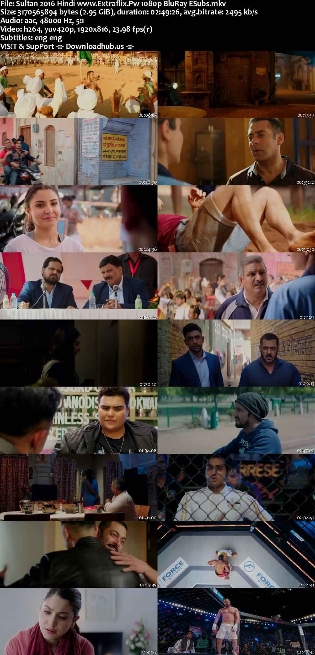 Sultan 2016 Hindi Movie DD5.1 4k 1080p 720p 480p BluRay ESubs x264 HEVC Sultan 2016 Hindi Movie DD5.1 4k 1080p 720p 480p BluRay ESubs x264 HEVC