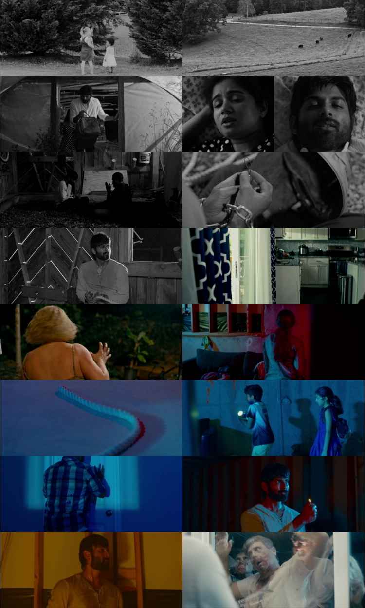 Not All Movies Are the Same Dual 2025 Hindi ORG Dual Audio Movie DD2.0 1080p 720p 480p UNCUT HDRip ESubs HEVC Not All Movies Are the Same Dual 2025 Hindi ORG Dual Audio Movie DD2.0 1080p 720p 480p UNCUT HDRip ESubs HEVC