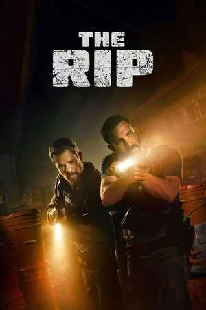 The Rip 2026 Hindi ORG Dual Audio Movie DD5.1 4k 1080p 720p 480p Web-DL x264 MSubs HEVC