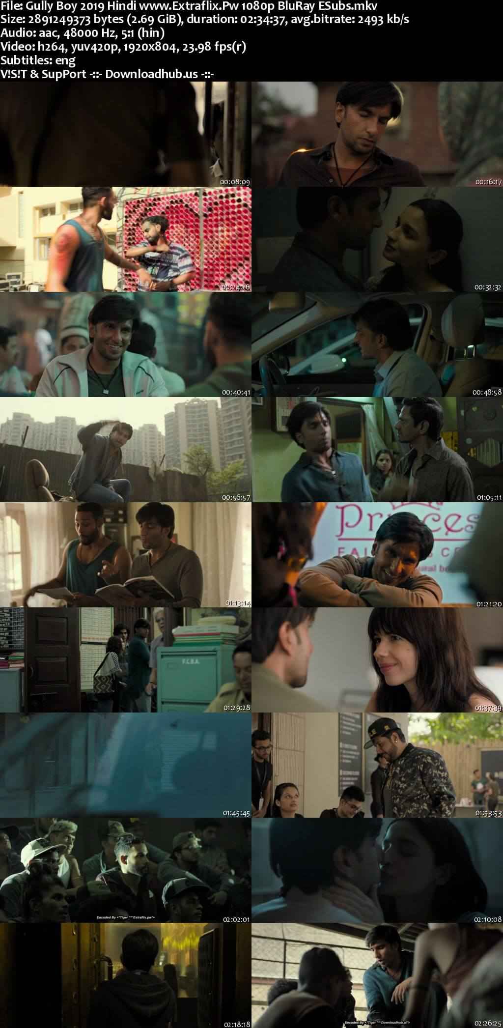 Gully Boy 2019 Hindi Movie DD5.1 4k 1080p 720p 480p BluRay ESubs x264 HEVC Gully Boy 2019 Hindi Movie DD5.1 4k 1080p 720p 480p BluRay ESubs x264 HEVC