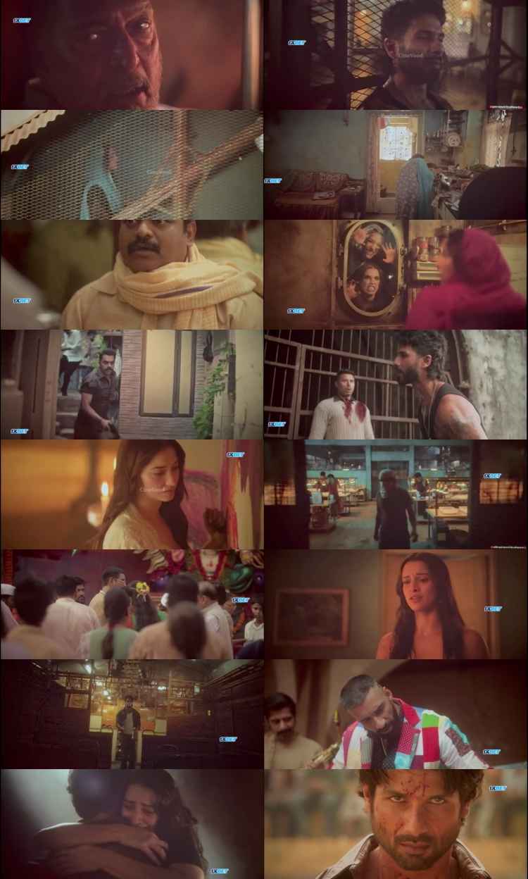 O' Romeo 2026 Hindi Movie 1080p 720p 480p HDTC x264 HEVC