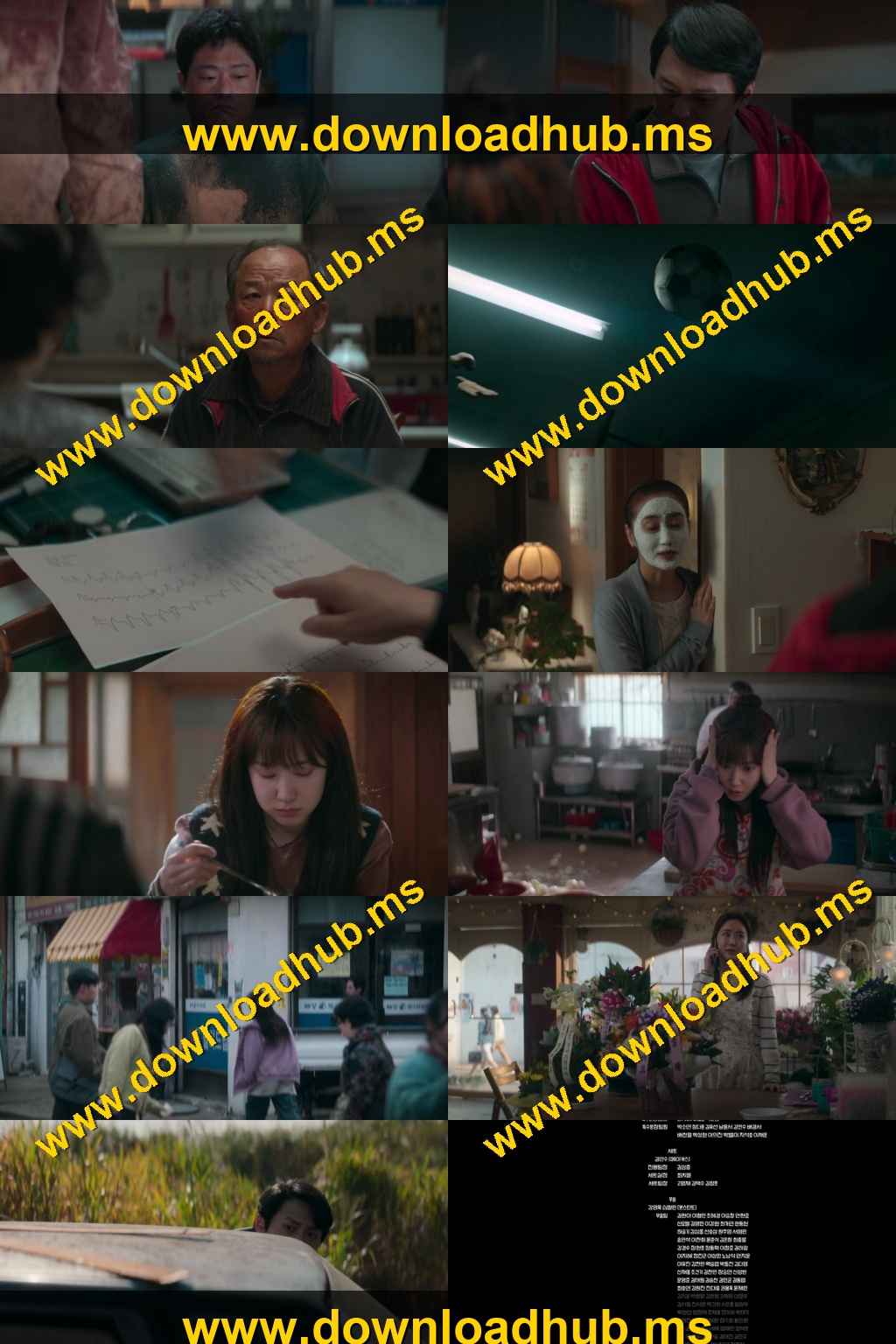 The Wonderfools 2026 S01 Complete Hindi Dual Audio 1080p 720p 480p Web-DL ESubs Berlin