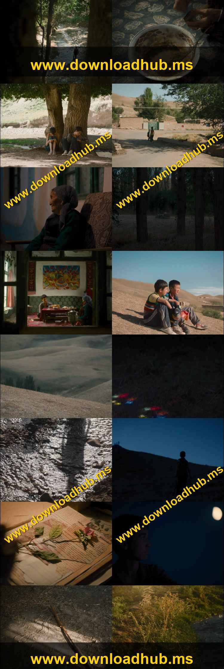 The Botanist 2026 Hindi ORG Dual Audio Movie DD2.0 1080p 720p 480p Web-DL x264 ESubs HEVC