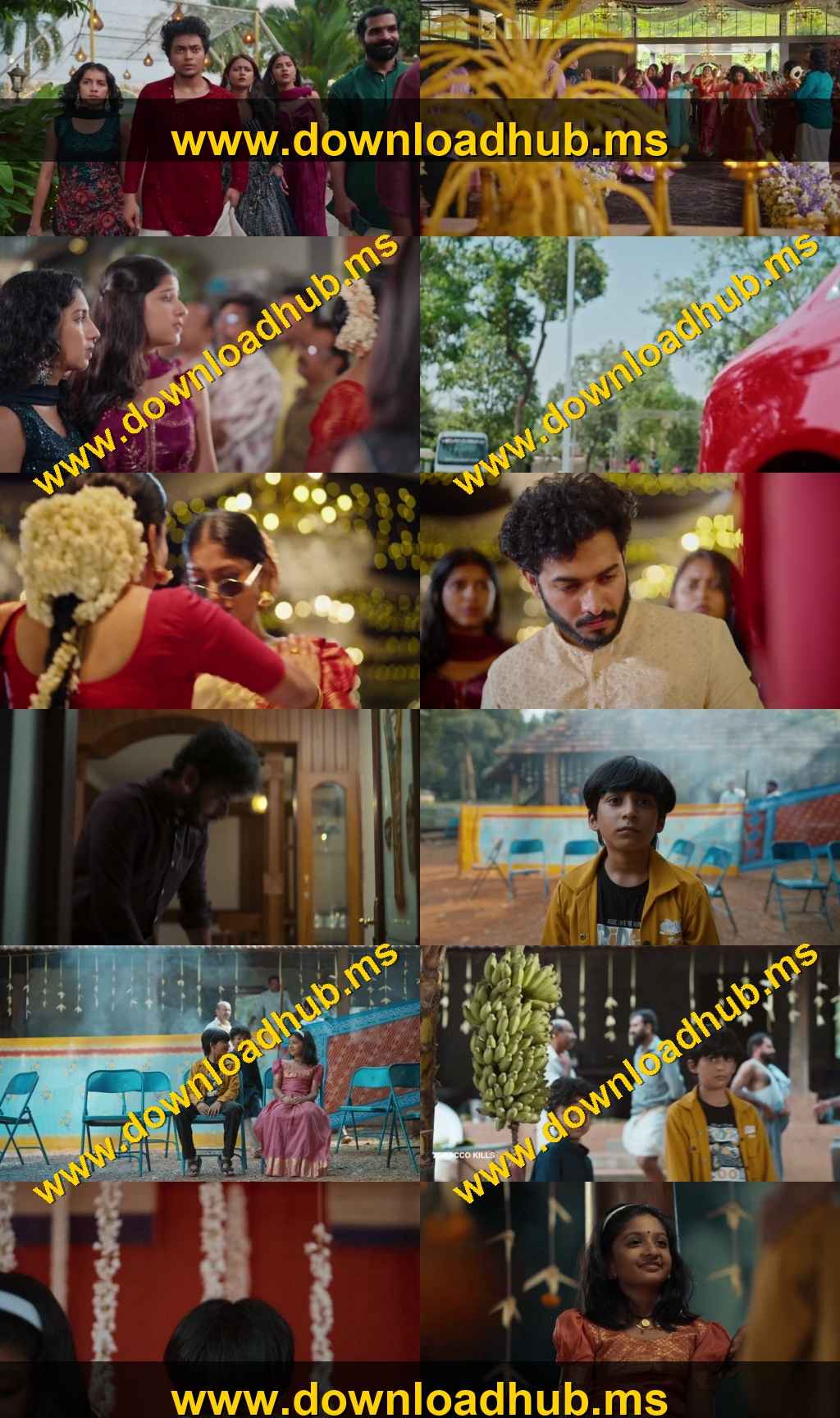 Cousins and Kalyanams 2026 S01 Complete Hindi Dual Audio 1080p 720p 480p Web-DL ESubs Berlin