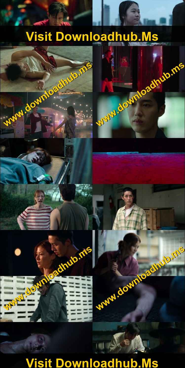 My Dearest Assassin 2026 Hindi ORG Dual Audio Movie DD5.1 1080p 720p 480p Web-DL x264 ESubs HEVC My Dearest Assassin 2026 Hindi ORG Dual Audio Movie DD5.1 1080p 720p 480p Web-DL x264 ESubs HEVC