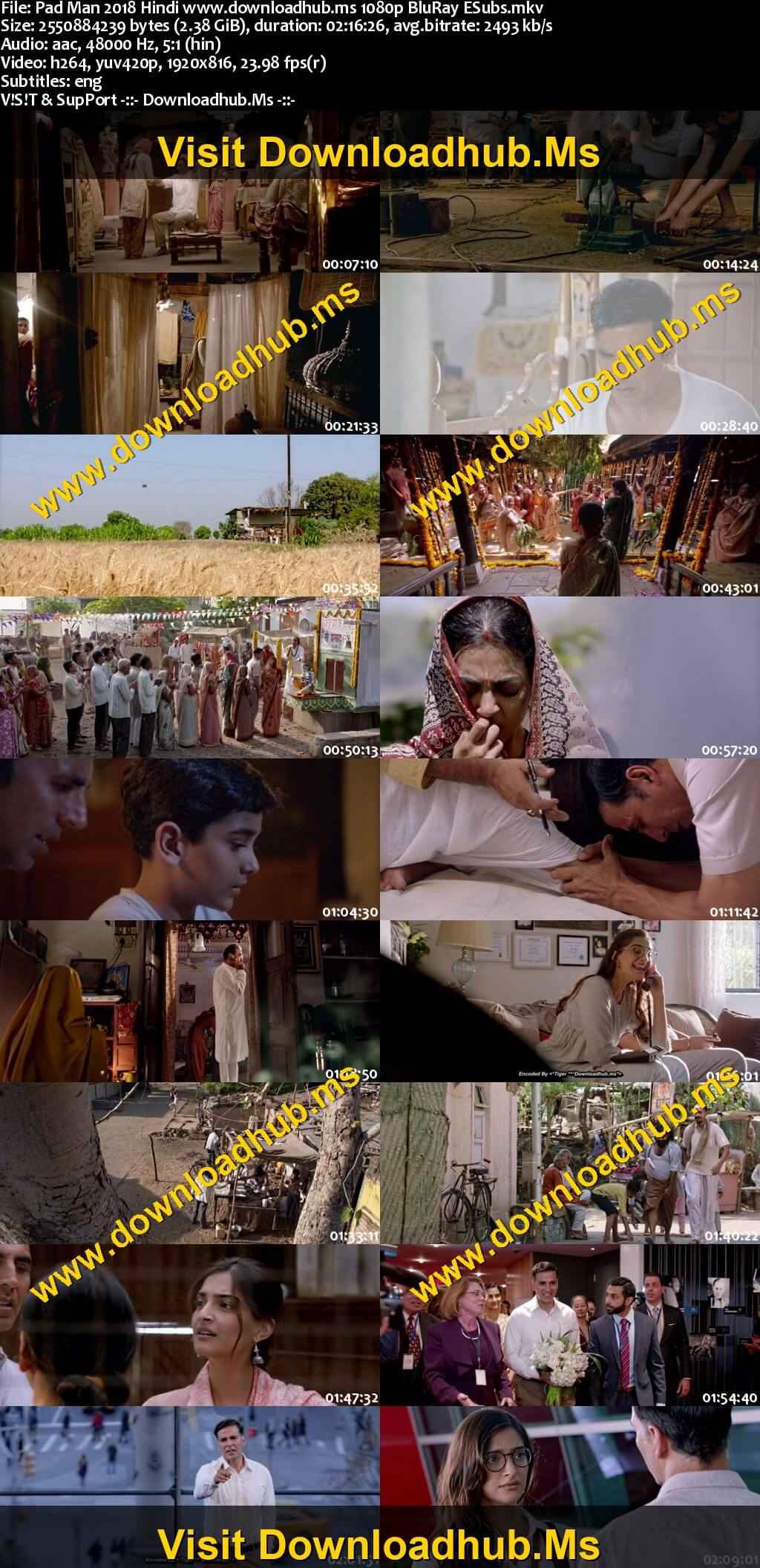 Pad Man 2018 Hindi Movie DD5.1 4k 1080p 720p 480p BluRay ESubs x264 HEVC