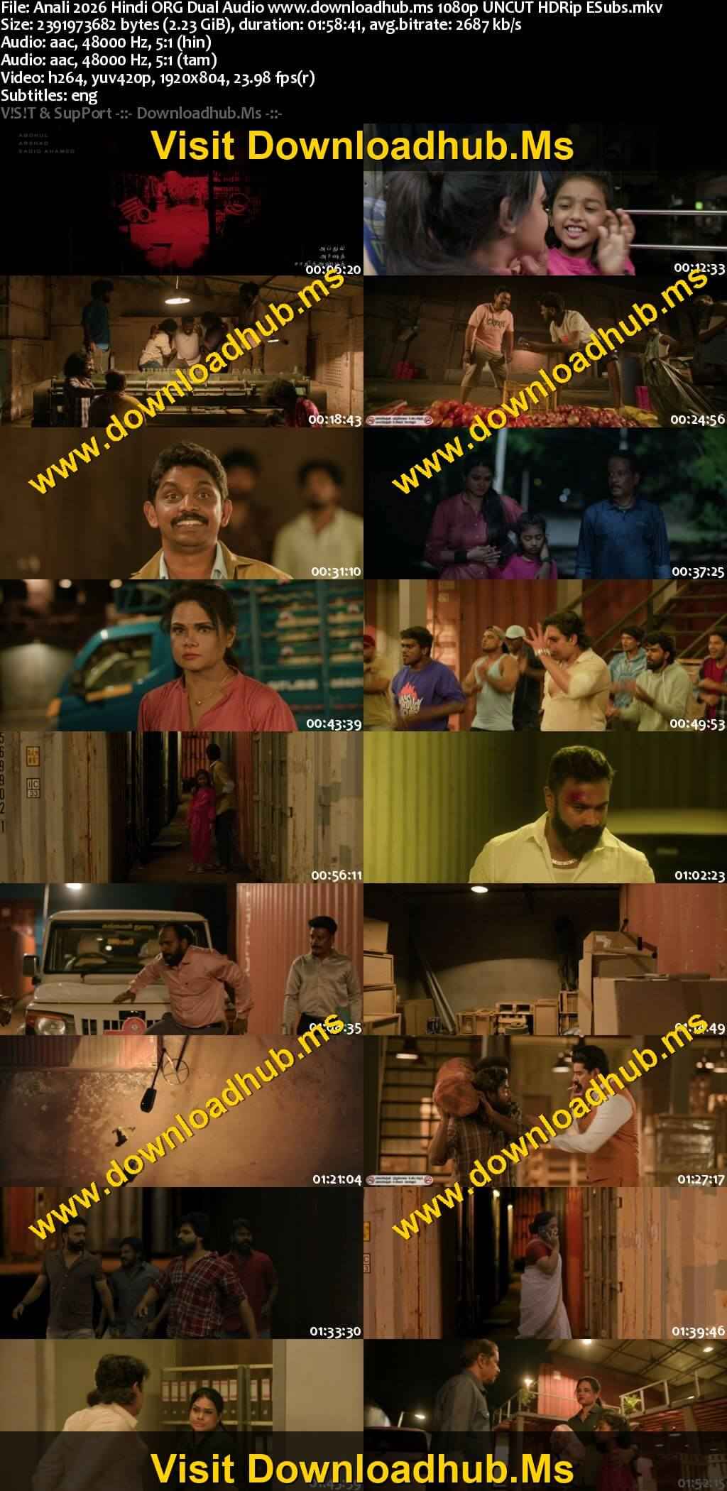 Anali 2026 Hindi ORG Dual Audio Movie DD5.1 4k 1080p 720p 480p UNCUT HDRip ESubs x264 HEVC