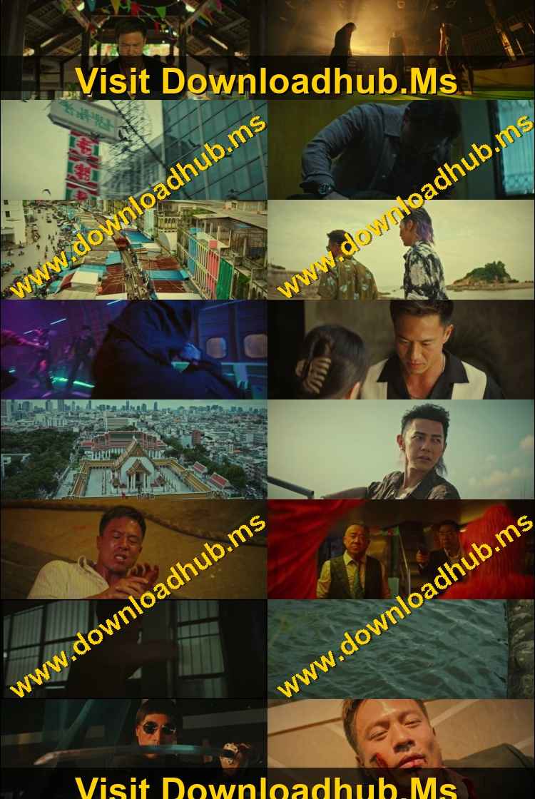The Grey Men 2 2025 Hindi ORG Dual Audio Movie DD5.1 1080p 720p 480p Web-DL x264 ESubs HEVC