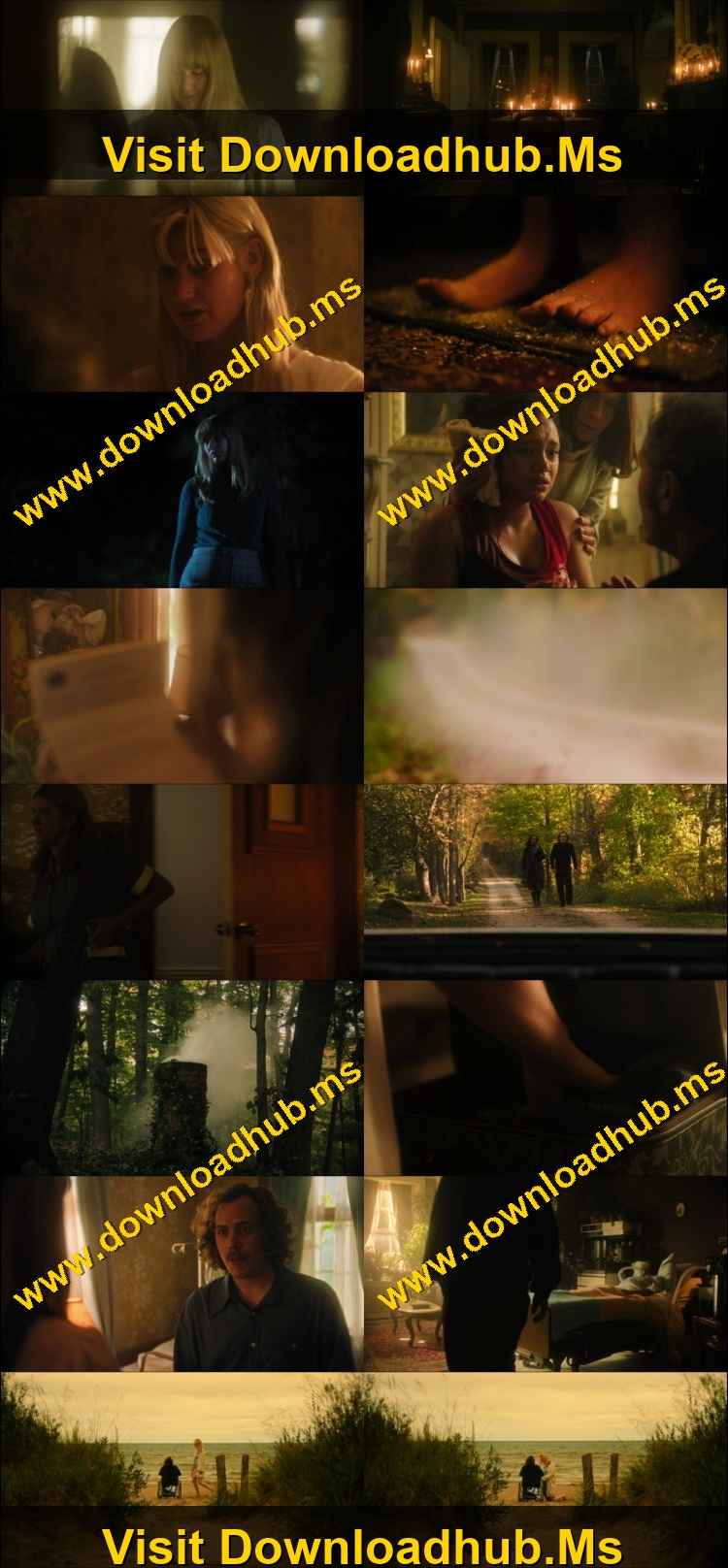 Honey Bunch 2026 Hindi ORG Dual Audio Movie DD5.1 1080p 720p 480p Web-DL x264 ESubs HEVC