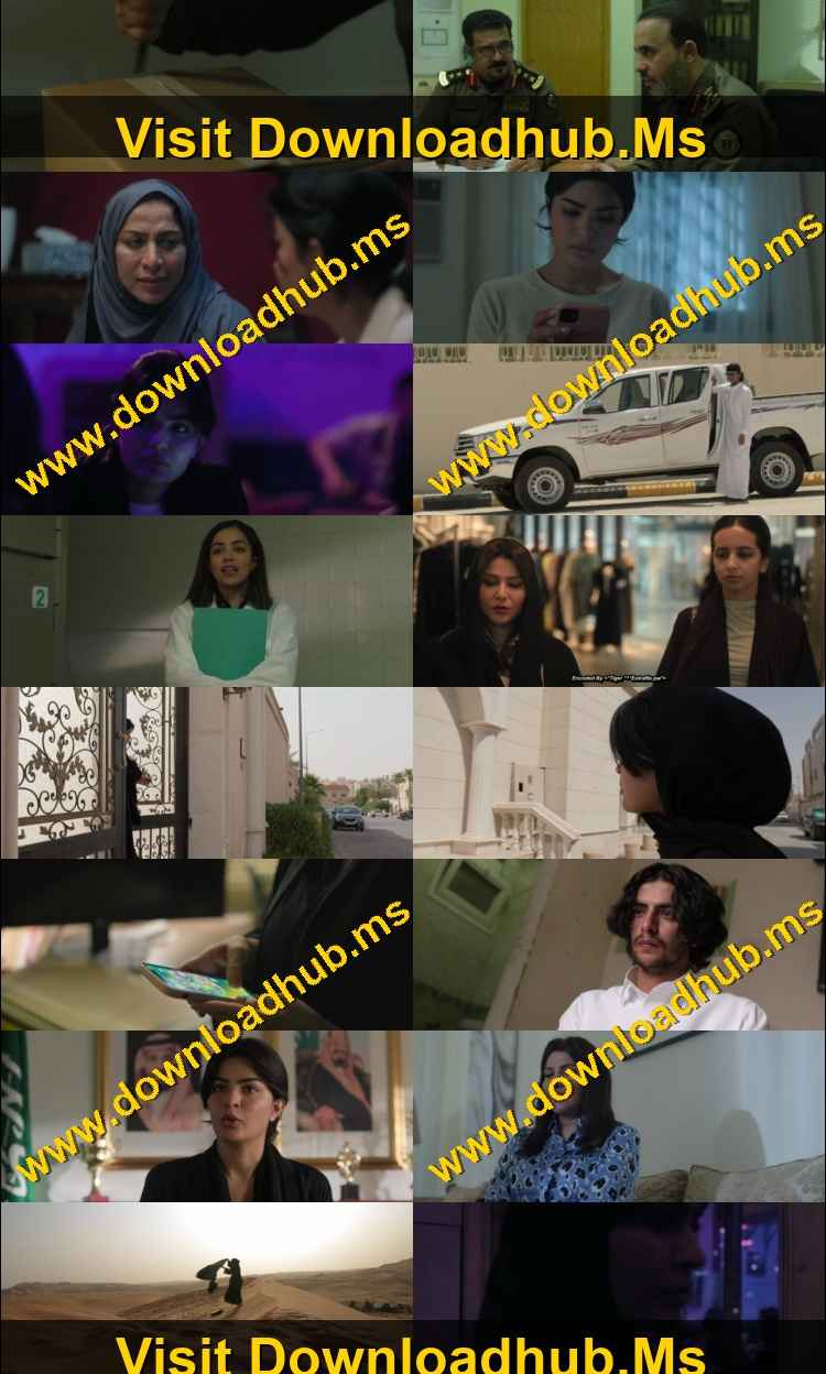 Unidentified 2026 Hindi ORG Dual Audio Movie DD5.1 1080p 720p 480p Web-DL x264 ESubs HEVC