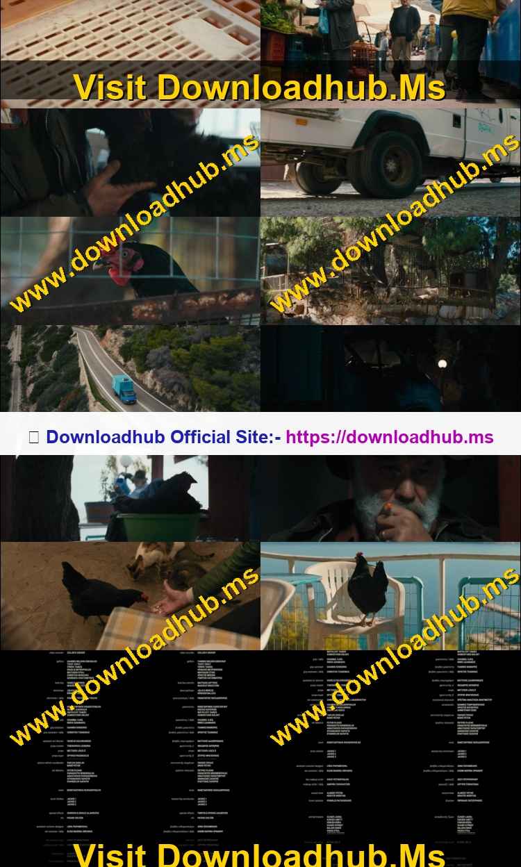 Kota aka Hen 2026 Hindi ORG Dual Audio Movie DD5.1 1080p 720p 480p Web-DL x264 ESubs HEVC Kota aka Hen 2026 Hindi ORG Dual Audio Movie DD5.1 1080p 720p 480p Web-DL x264 ESubs HEVC