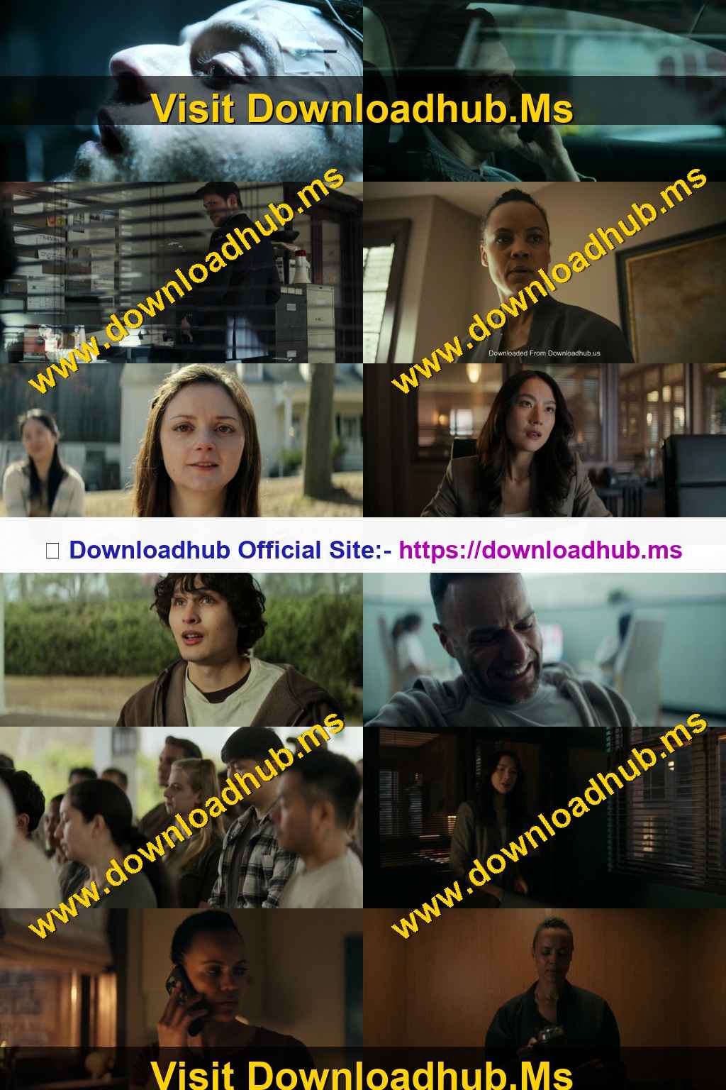 Neagley 2026 S01 Complete Hindi Dual Audio 1080p 720p 480p Web-DL ESubs Neagley