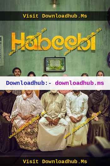 Habeebi 2026 Hindi ORG Dual Audio Movie DD5.1 4k 1080p 720p 480p UNCUT HDRip ESubs HEVC